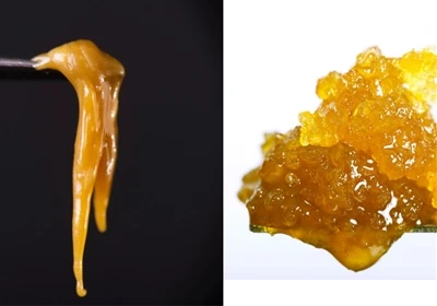 Rive Resin مقابل Live Rosin: ما الفرق؟